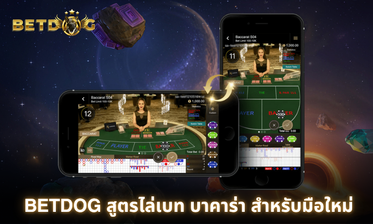 BETDOG สูตรการไล่เบทบาคาร่า พร้อมให้บริการ 24 ชั่วโมงสมัครง่ายคลิก